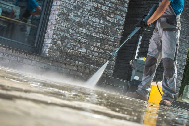 Best Fence Cleaning and Maintenance in Clifton, TX